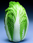 Chinese Napa Cabbage