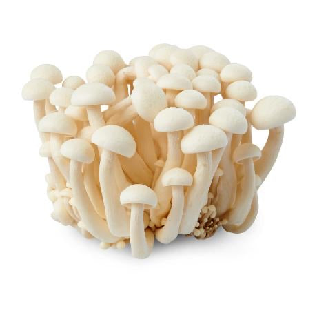 MAO XIONG, Shimeji mushroom white 150g (not available for posti shipping)