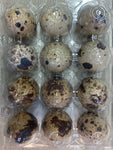 Fresh Quail Eggs 1 pack 12 pcs, Trứng cút