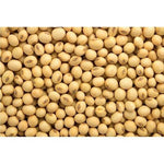 Canadian Soy bean, raw, whole 2,5kg